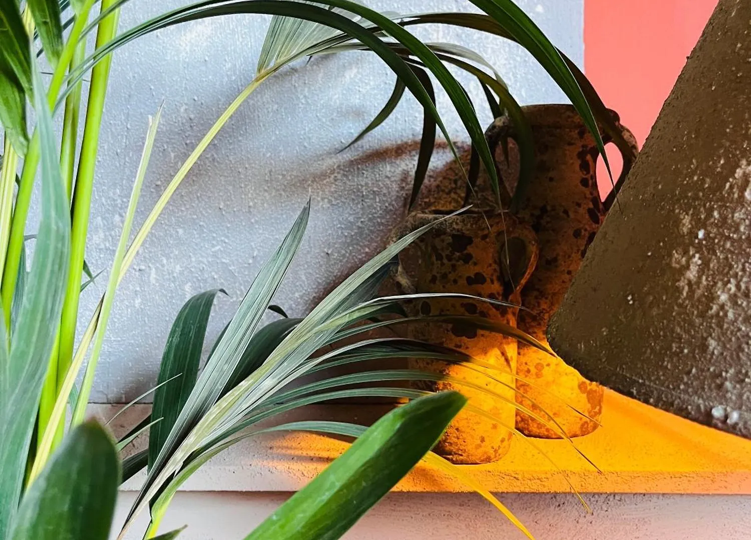 Guesthouse Nights By Morpheus Antwerp Bed & Breakfast